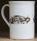 Cow Perring Over Wall